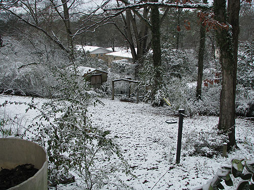 snow-backyard