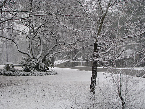 snow-frontyard