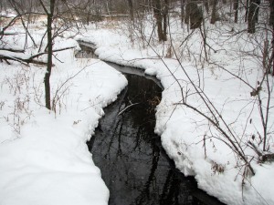 Beautiful snowy creek, spring-fed and stays unfrozen even in the coldest temps