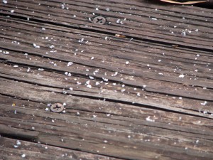 Close-up of some accumulating snow granules