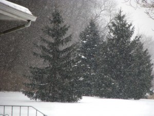 Lake effect snow falling for my last bike ride of the trip