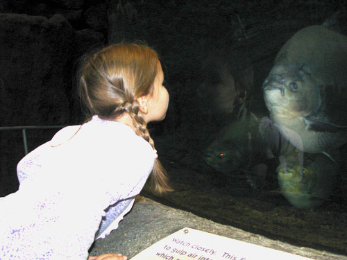 fish-kiss