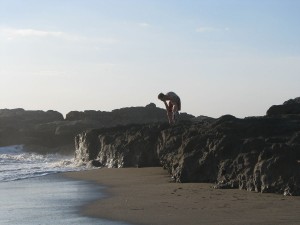 looking for marine life in the tidepools