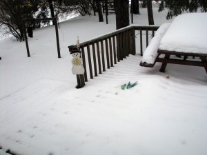 Dec 25 - 9AM (Starting to rain)