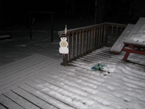 Dec 25 - 11PM (Starting to snow again)