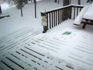 snow, day 8 am