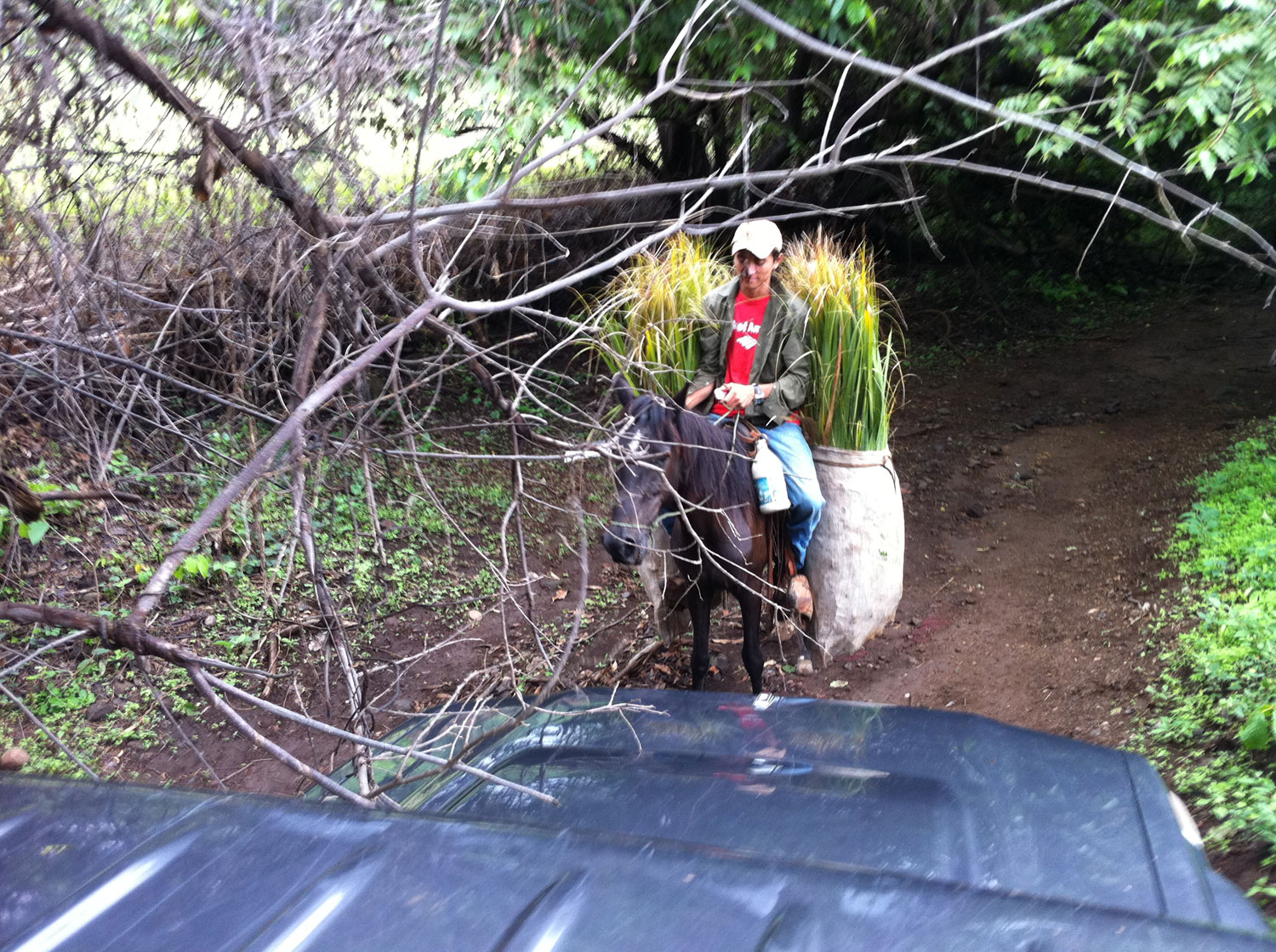A caballero hauling sugar cane heads over to help us make it past this section by cutting down the branches with his machete.