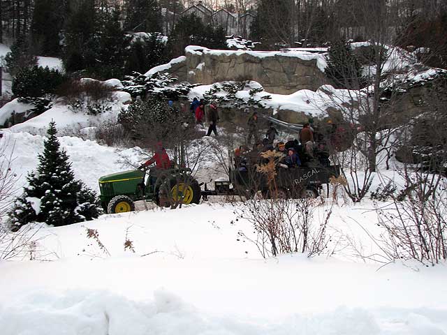 hay ride