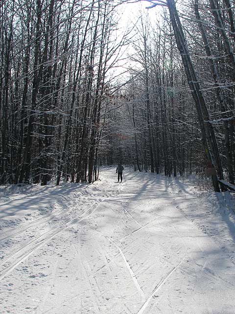 the ski trail