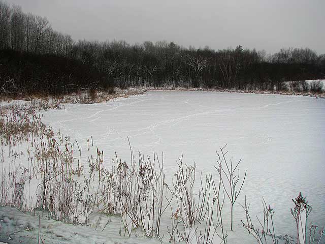 river otter pond