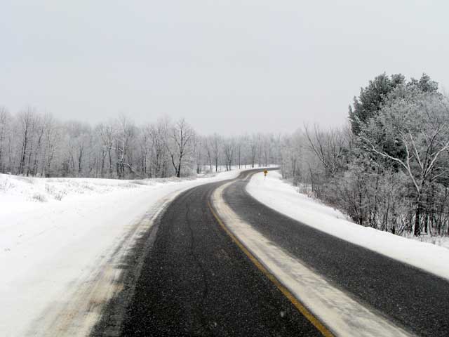 tracks in the winter scene