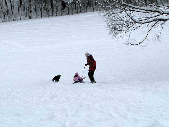 molly chasing