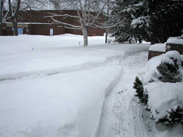 snow in the frontyard