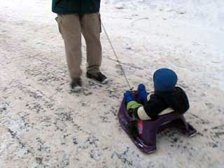 sledding transporation in the zoo