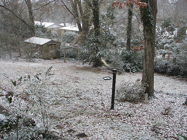 snow in our backyard - jan 19 2008