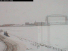 duluth aquarium webcam